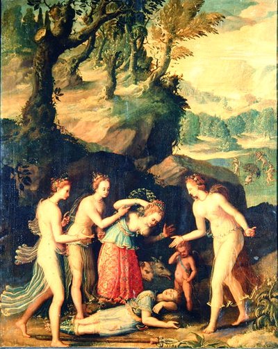 Venus Weeping over the Death of Adonis by French School